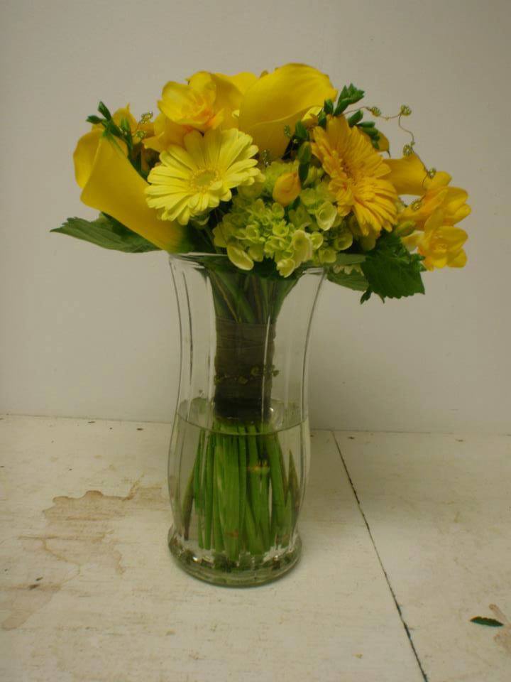Yellow.jpg