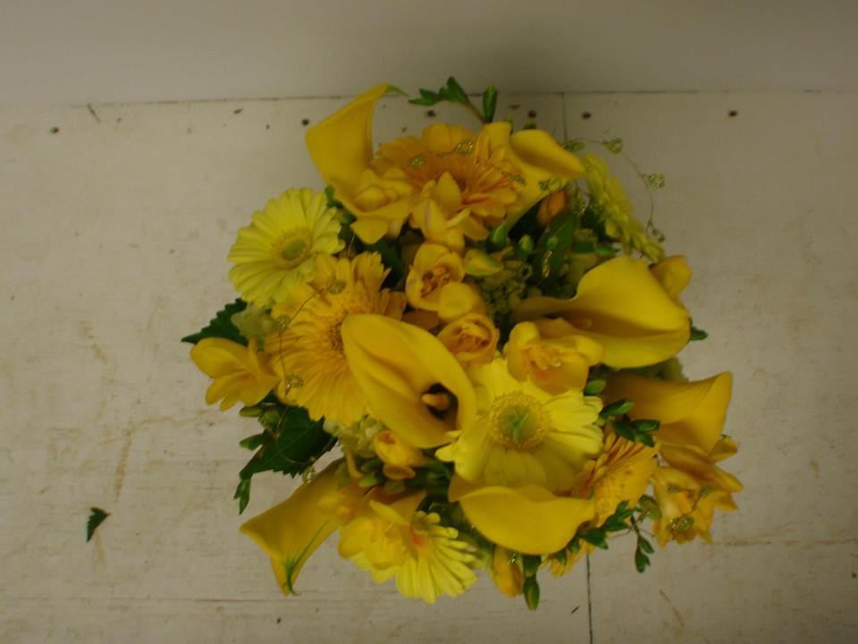 Yellows.jpg