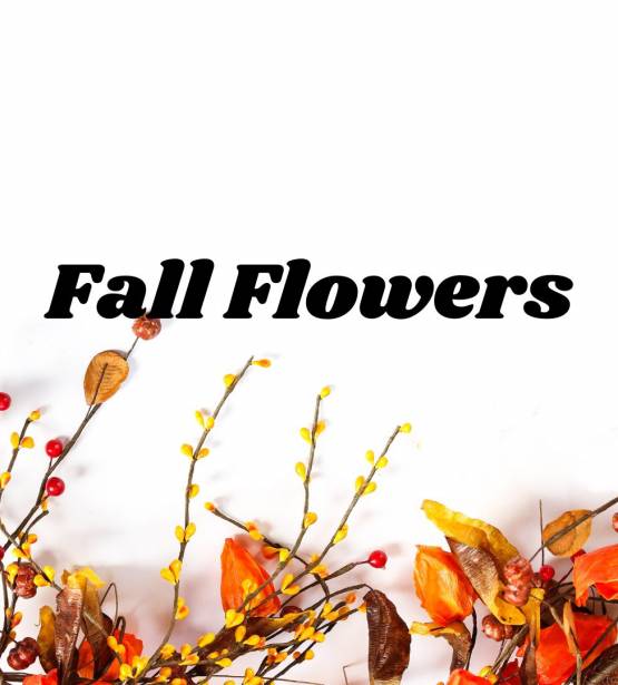 Fall Flowers