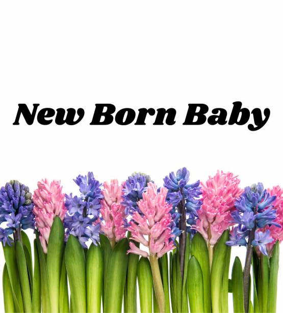 New Born Baby