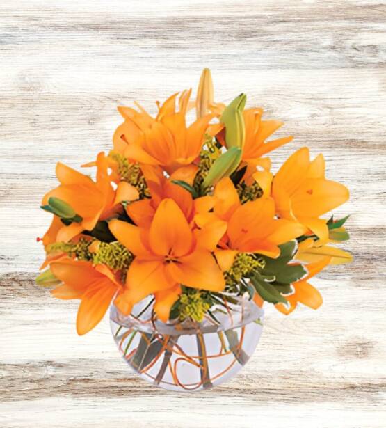 Orange Lily Sorbet