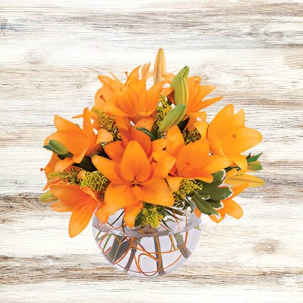 Orange Lily Sorbet