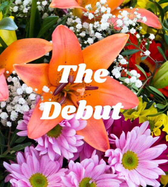 The Debut