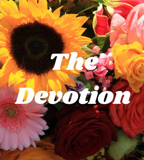 The Devotion